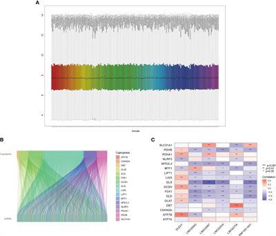 Predictors based on cuproptosis closely related to angiogenesis predict colorectal cancer recurrence